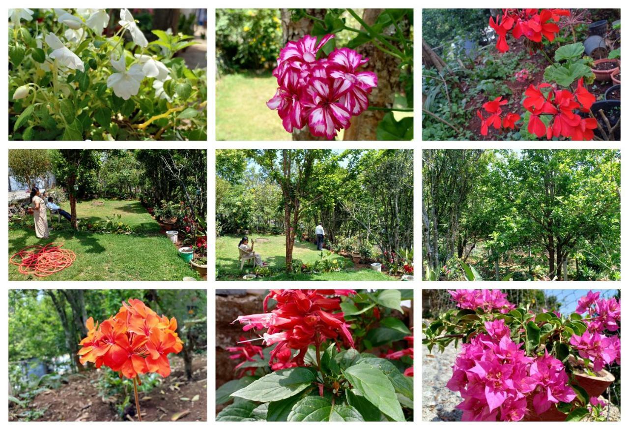 Pear Tree Inn Villa Kotagiri Zewnętrze zdjęcie