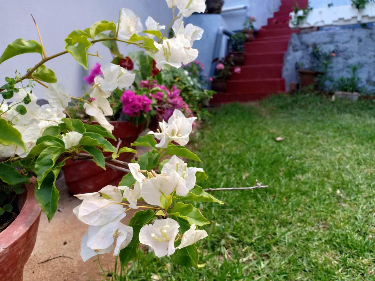 Pear Tree Inn Villa Kotagiri Zewnętrze zdjęcie